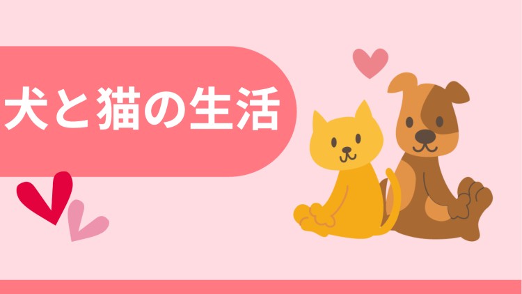 カワイイがいっぱい！ワンダーランド